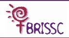Rape and Incest Survivors Support Centre (BRISSC)